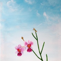 gallery500-elsie-orchids1